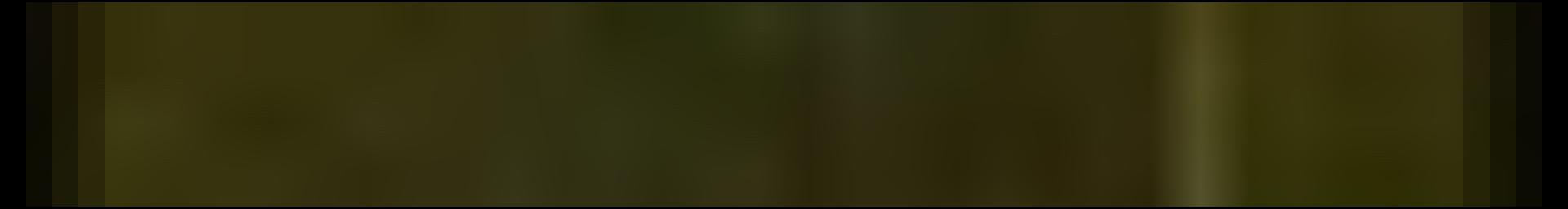 Decorative site banner