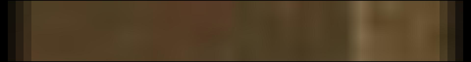 Decorative site banner