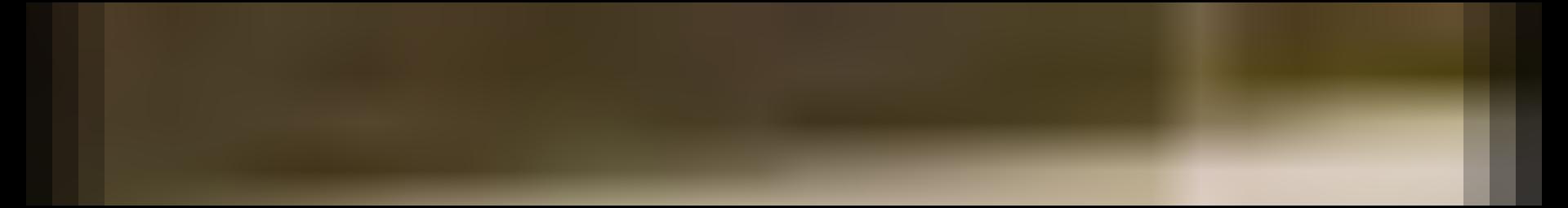 Decorative site banner