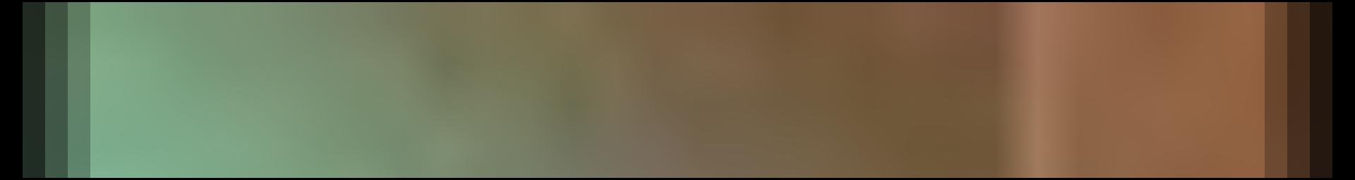 Decorative site banner