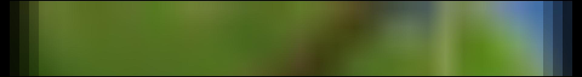 Decorative site banner