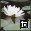 Project icon