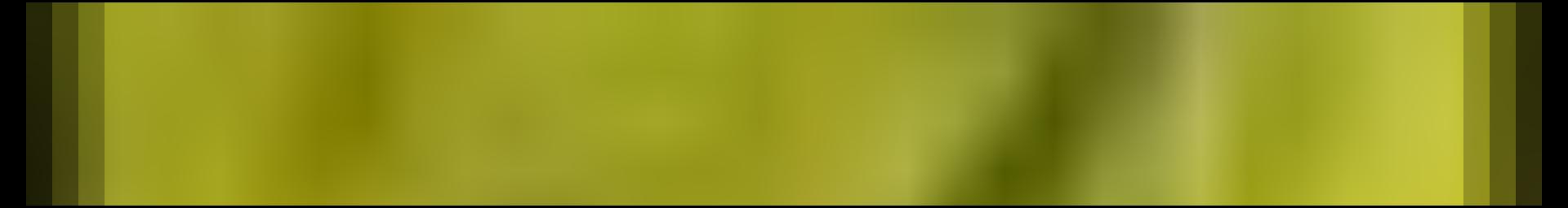Decorative site banner
