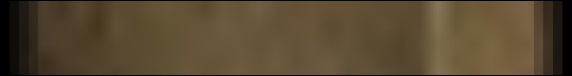 Decorative site banner