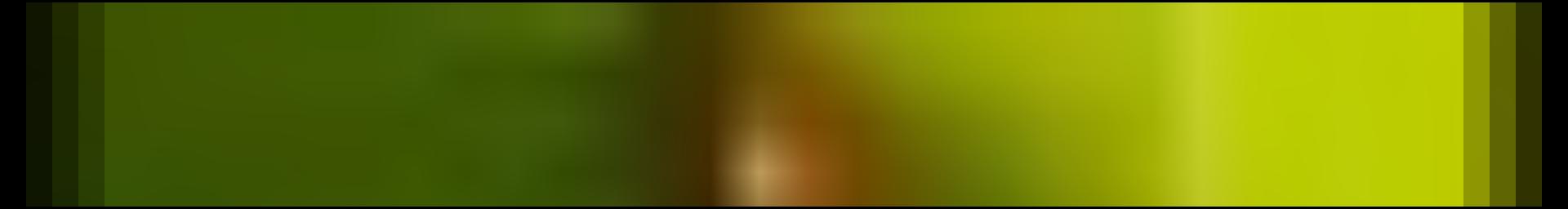 Decorative site banner