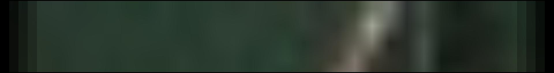 Decorative site banner