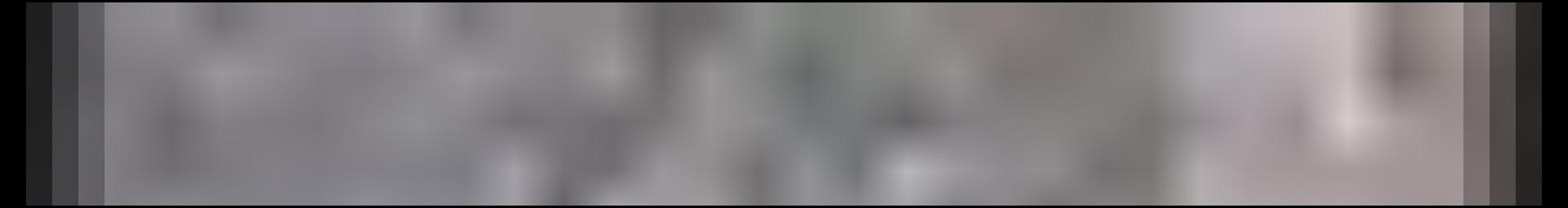Decorative site banner