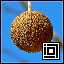 Project icon