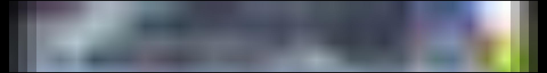 Decorative site banner