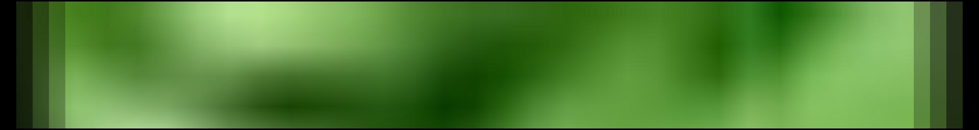 Decorative site banner