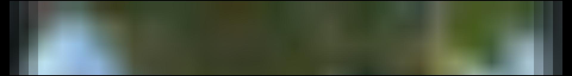 Decorative site banner