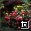 Project icon