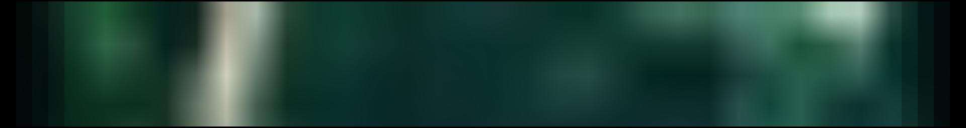 Decorative site banner