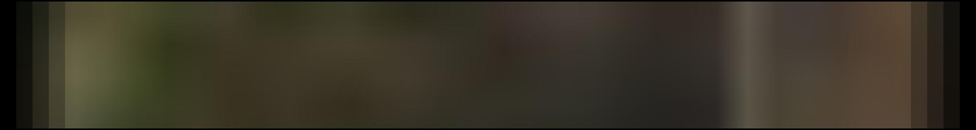 Decorative site banner