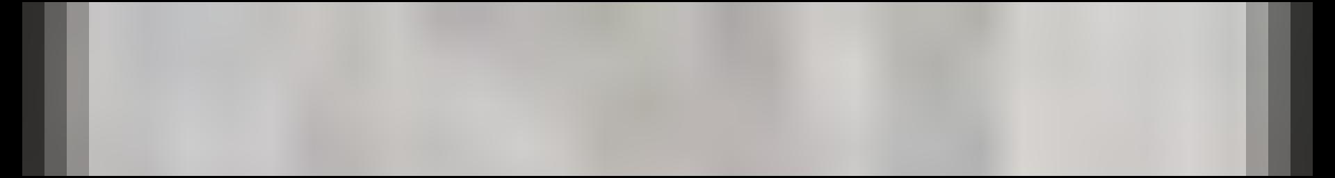 Decorative site banner