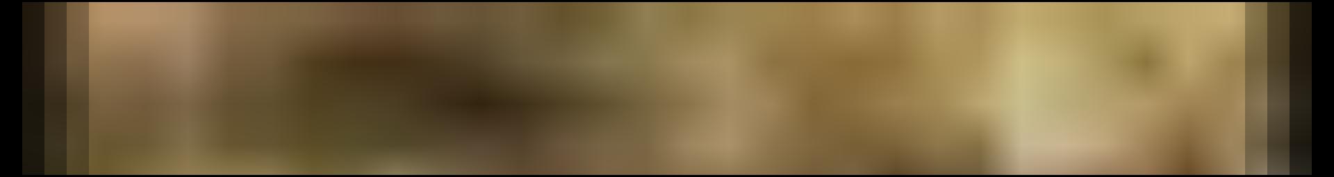 Decorative site banner