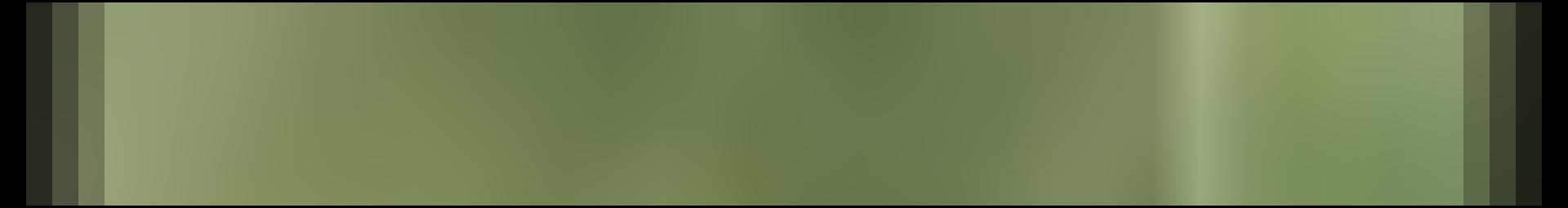 Decorative site banner