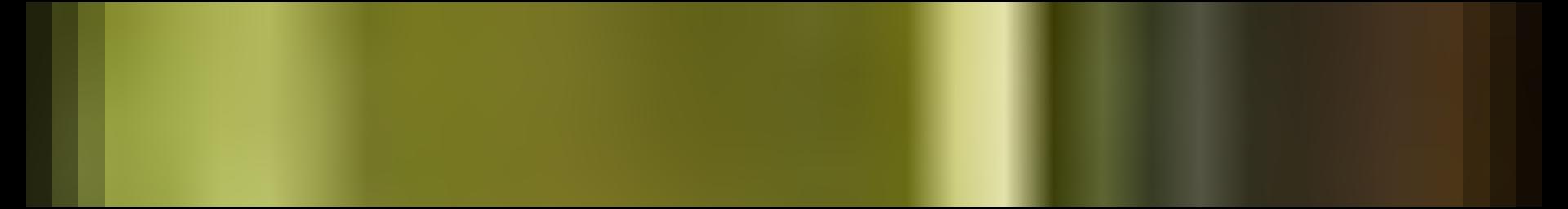 Decorative site banner